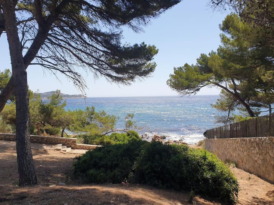 Les Geraniums, Bel Appartement Renove, Proche Plage Et Commerces La Seyne-sur-Mer Esterno foto