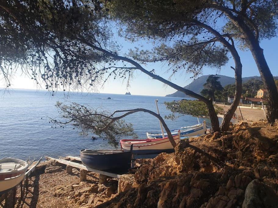 Les Geraniums, Bel Appartement Renove, Proche Plage Et Commerces La Seyne-sur-Mer Esterno foto